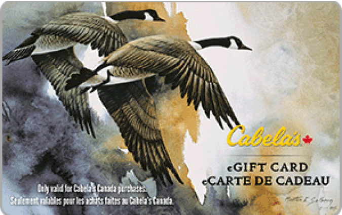 Cabela's